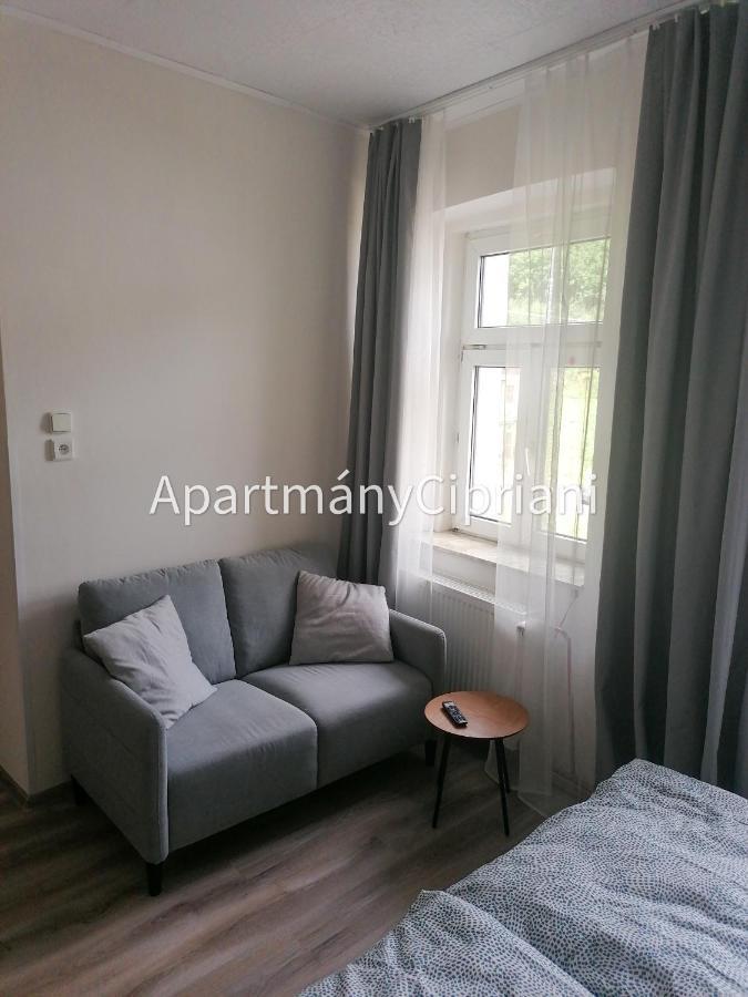 Apartmany Cipriani Jachymov Bagian luar foto